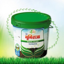 Bhumiraja (Granuals)